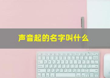 声音起的名字叫什么