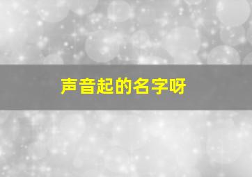 声音起的名字呀