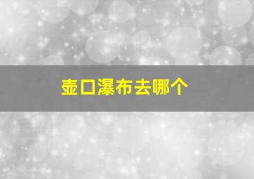 壶口瀑布去哪个