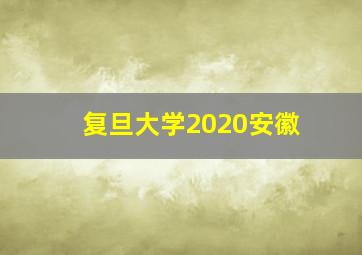 复旦大学2020安徽