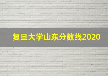 复旦大学山东分数线2020