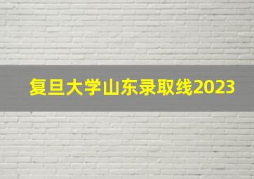 复旦大学山东录取线2023