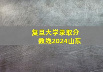 复旦大学录取分数线2024山东