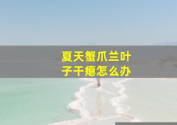 夏天蟹爪兰叶子干瘪怎么办