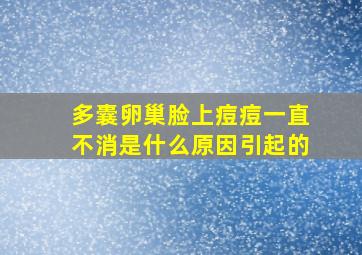 多囊卵巢脸上痘痘一直不消是什么原因引起的