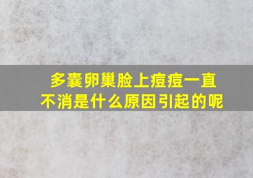 多囊卵巢脸上痘痘一直不消是什么原因引起的呢