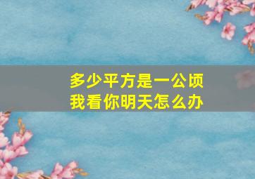 多少平方是一公顷我看你明天怎么办