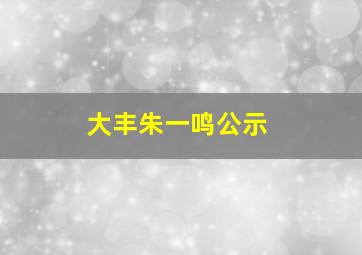 大丰朱一鸣公示