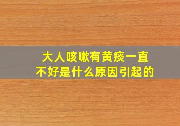 大人咳嗽有黄痰一直不好是什么原因引起的