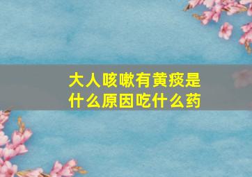 大人咳嗽有黄痰是什么原因吃什么药