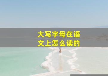 大写字母在语文上怎么读的