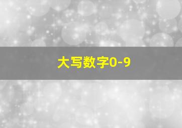 大写数字0-9