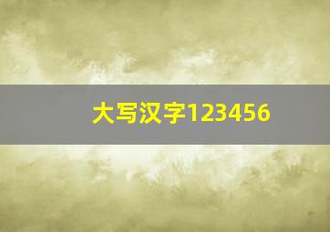 大写汉字123456