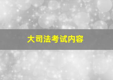 大司法考试内容