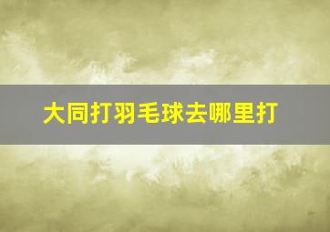 大同打羽毛球去哪里打