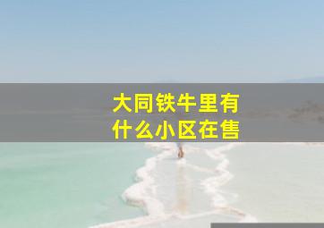 大同铁牛里有什么小区在售