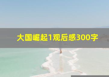 大国崛起1观后感300字