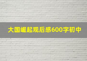 大国崛起观后感600字初中