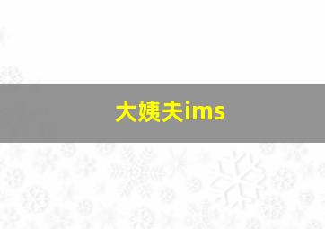 大姨夫ims