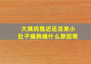 大姨妈推迟还没来小肚子痛胸痛什么原因呢