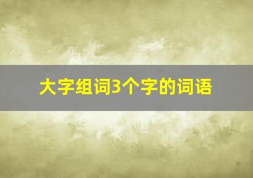 大字组词3个字的词语