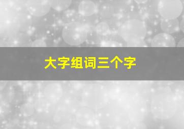 大字组词三个字