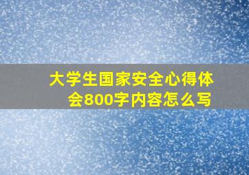 大学生国家安全心得体会800字内容怎么写