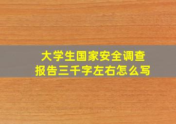 大学生国家安全调查报告三千字左右怎么写