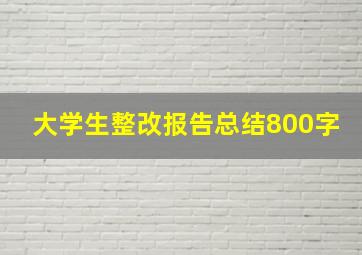 大学生整改报告总结800字