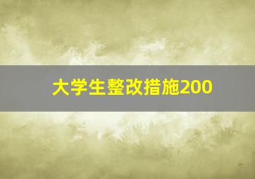 大学生整改措施200