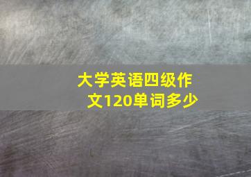 大学英语四级作文120单词多少