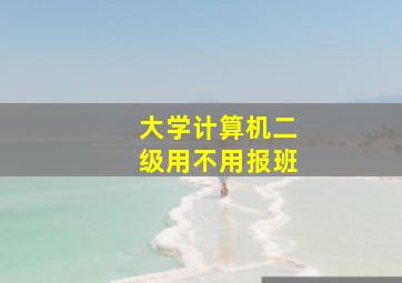 大学计算机二级用不用报班