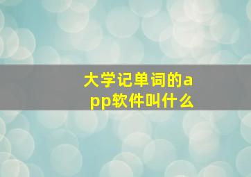 大学记单词的app软件叫什么