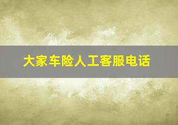 大家车险人工客服电话