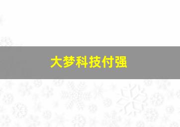 大梦科技付强