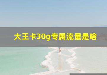 大王卡30g专属流量是啥