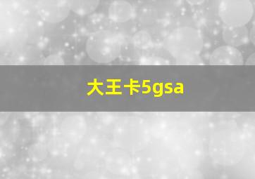 大王卡5gsa