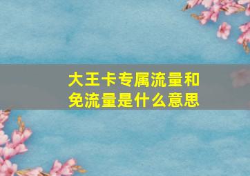 大王卡专属流量和免流量是什么意思