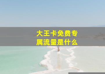 大王卡免费专属流量是什么