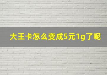 大王卡怎么变成5元1g了呢