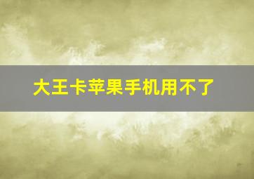 大王卡苹果手机用不了