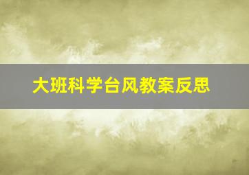 大班科学台风教案反思