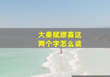 大秦赋嫪毐这两个字怎么读