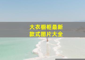 大衣橱柜最新款式图片大全