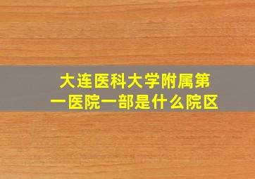 大连医科大学附属第一医院一部是什么院区