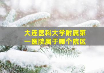 大连医科大学附属第一医院属于哪个院区