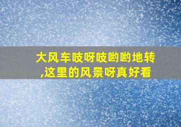 大风车吱呀吱哟哟地转,这里的风景呀真好看