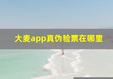 大麦app真伪验票在哪里