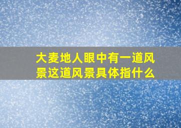 大麦地人眼中有一道风景这道风景具体指什么