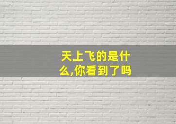 天上飞的是什么,你看到了吗